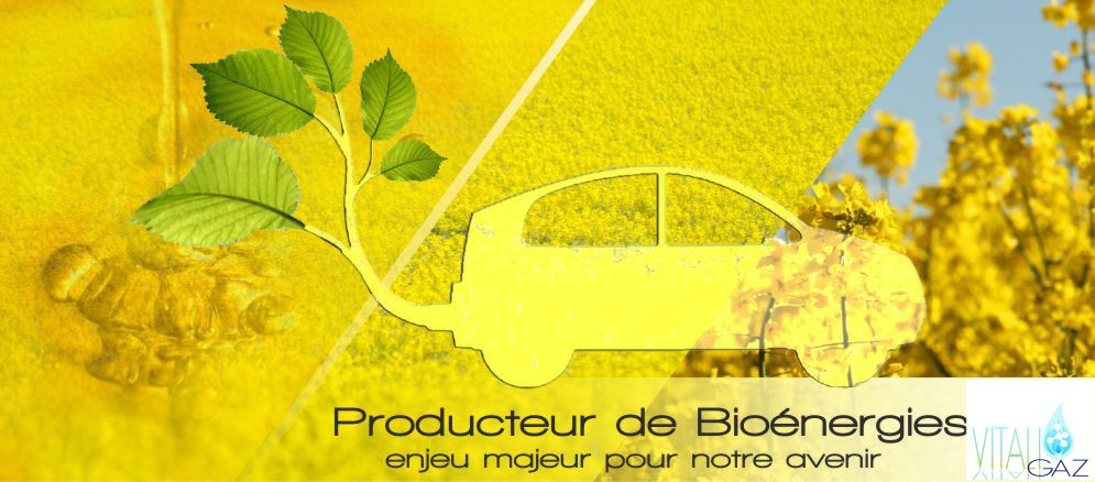 VitaliGaz, Unit� de valorisation par m�thanisation des d�chets organiques & fermentescibles issus des exploitations agricoles & des collectivit�s locales.
