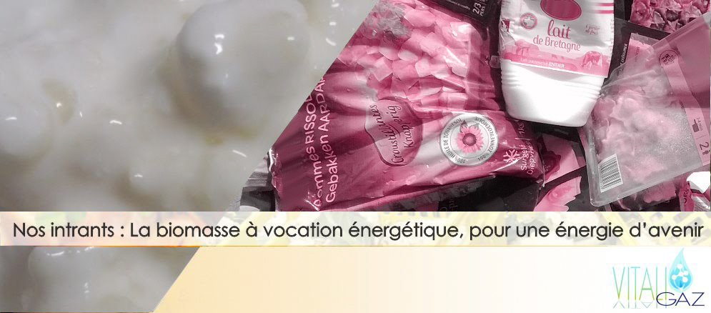 VitaliGaz agit au profit  du d�veloppement des �nergies renouvelables d�origine organiques, privil�giant le d�veloppement des technologies propres & �conomes