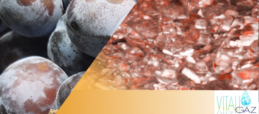 VitaliGaz�: Une situation g�ographique strat�gique	au c�ur de la R�gion Normandie fortement impliqu�e dans l�agriculture & forte d�un travail en r�seau des industriels de l�agroalimentaire normand