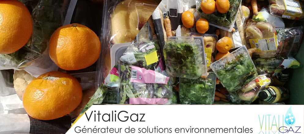 VitaliGaz : Alternative au gaspillage des ressources naturelles