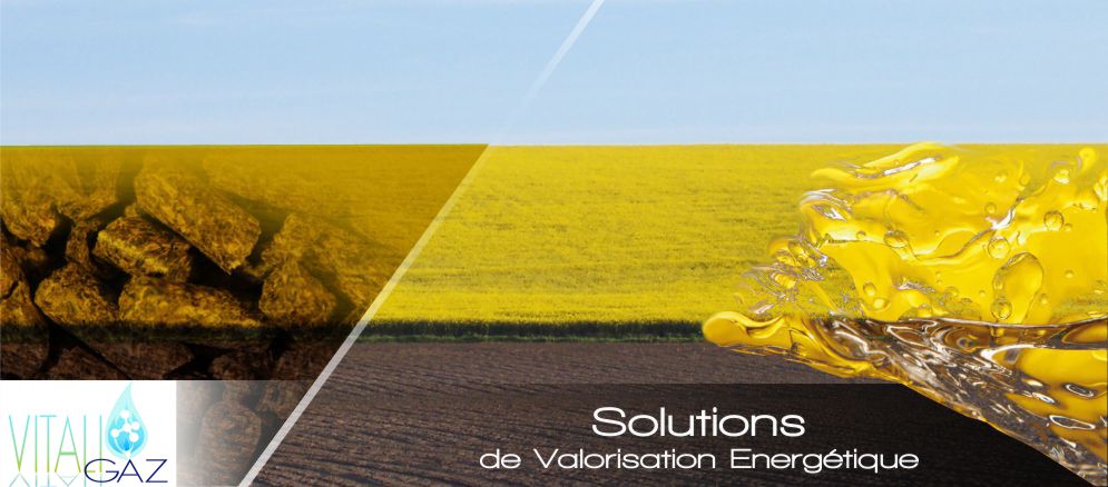 Pour VitaliGaz,  ��g�rer nos gisements organiques,�c�est proprement vital��
