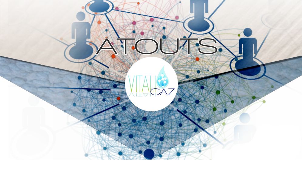 Les atouts strat&eacute;giques de vitaligaz