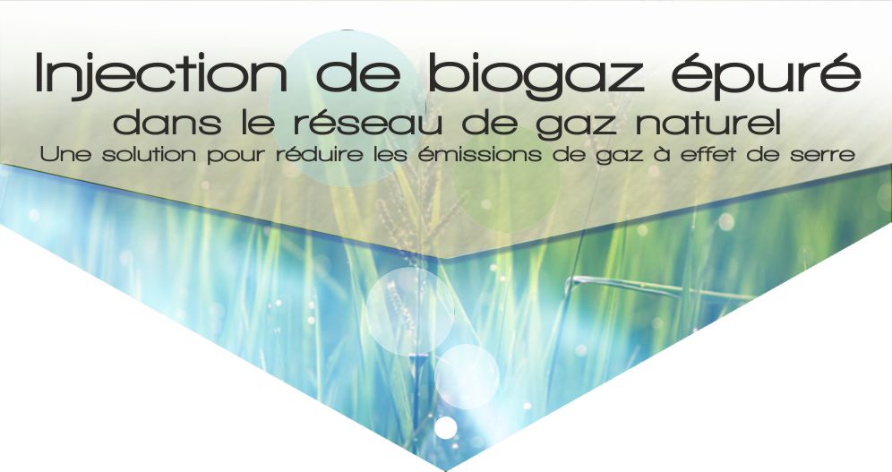 Injection de biogaz &eacute;pur&eacute; dans le r&eacute;seau de gaz naturel
